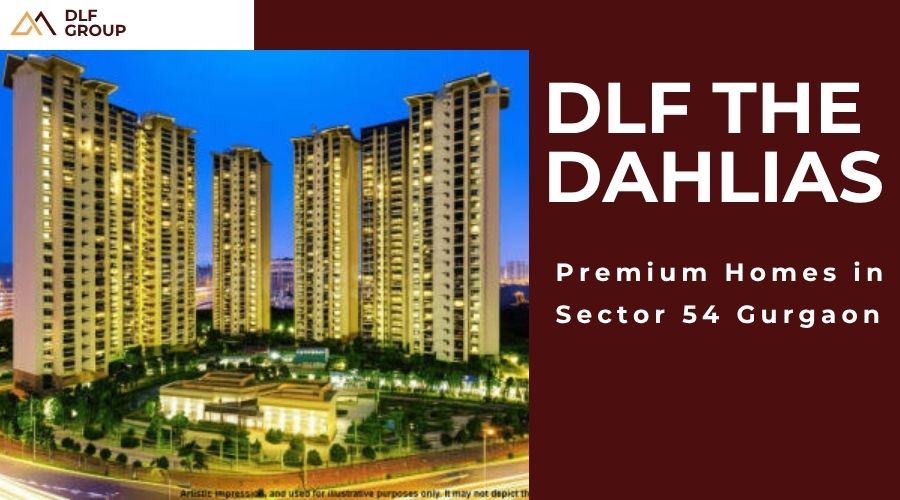DLF The Dahlias